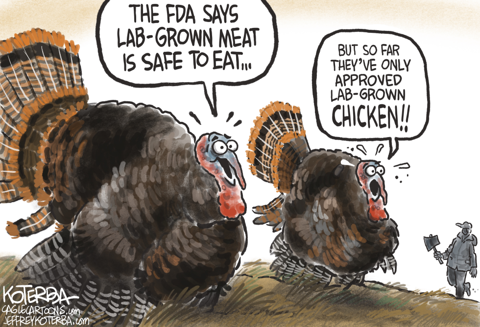 Lab-Grown Turkey?