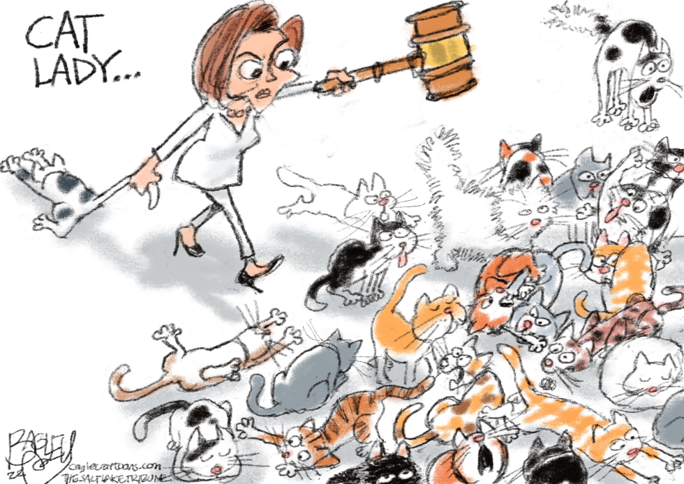 Pelosi Cats