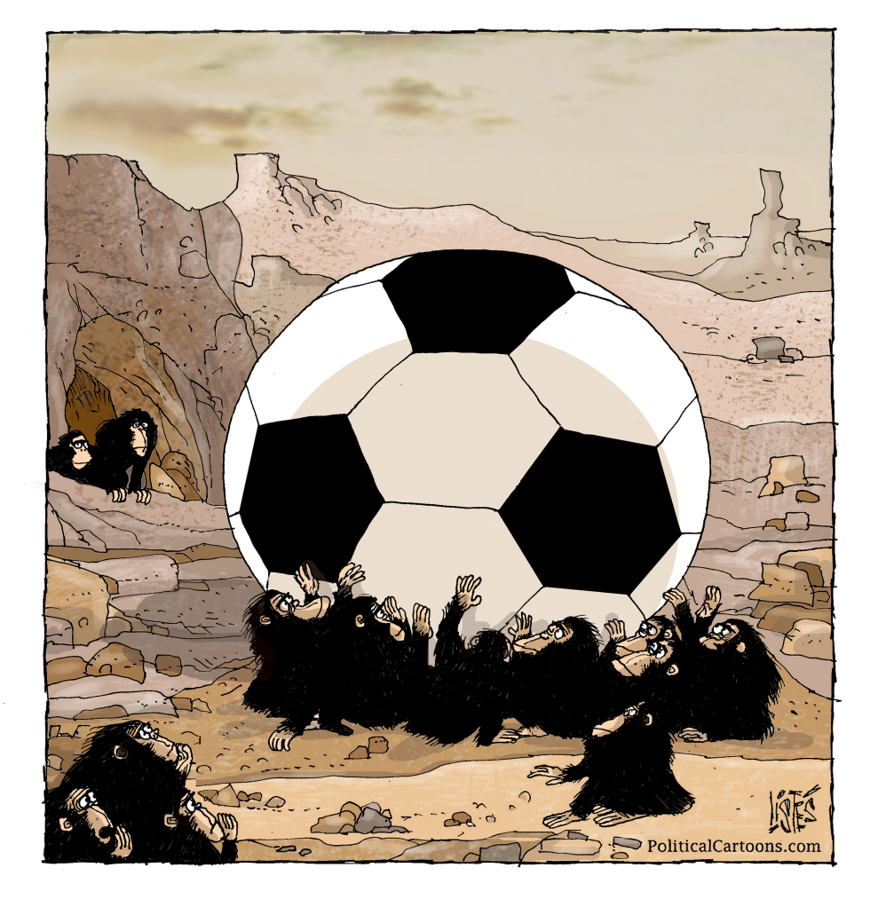 Primates Reach Toward Oversized Soccer Ball in Rocky Desert