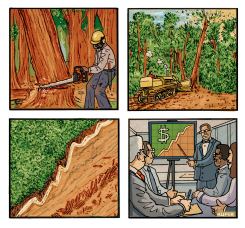 THE PRICE OF CLEARCUTTING by Peter Kuper