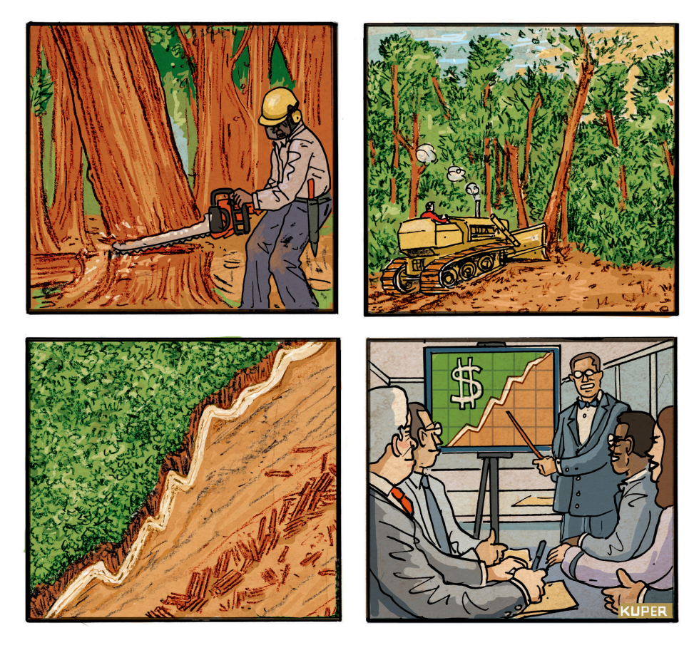 The Price Of Clearcutting