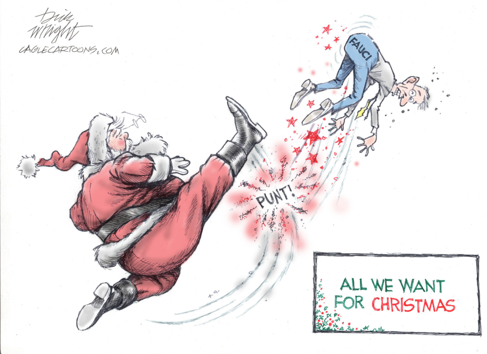 Enough of Fauci