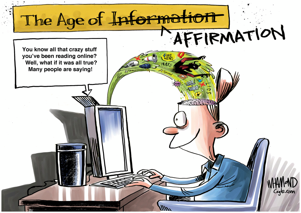The age of disinformation