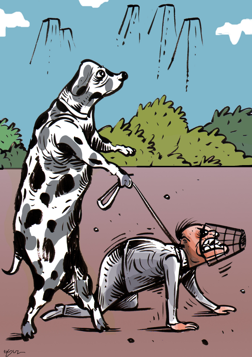 Walk the Owner