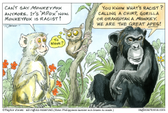 DON'T CALL IT MONKEYPOX by Taylor Jones