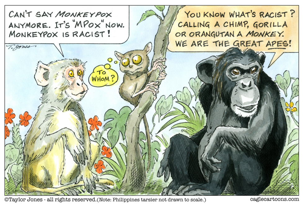 Don't call it monkeypox