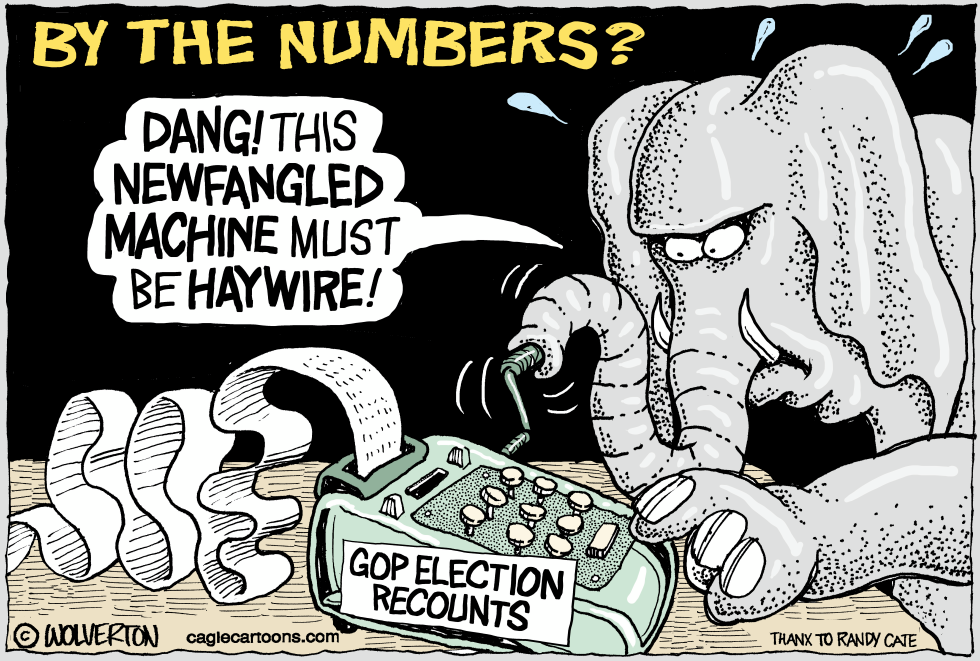 GOP Election Recounts