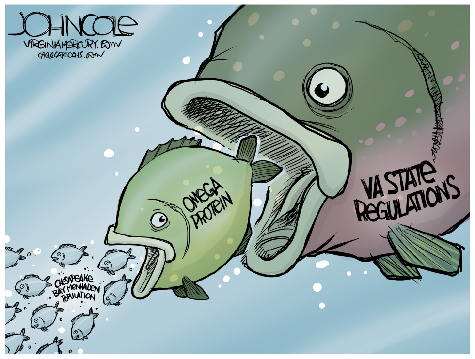 VIRGINIA Chesapeake Bay fishing regulations