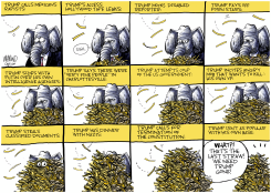 THE LAST STRAW FOR REPUBLICANS by Dave Whamond