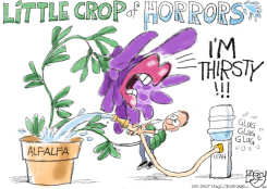 LOCAL: ALFALFA by Pat Bagley