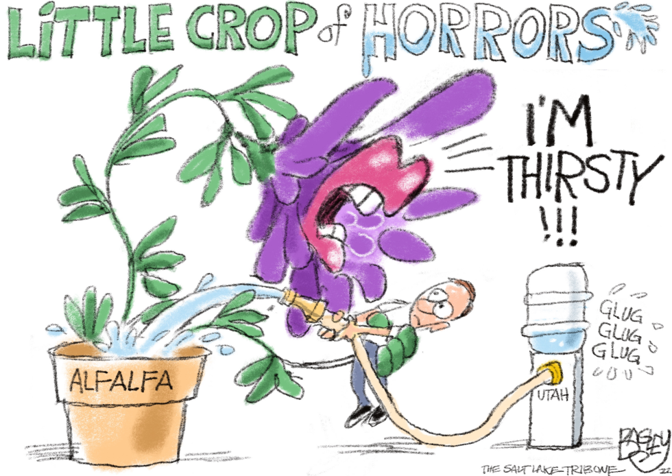 LOCAL: Alfalfa