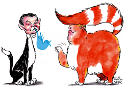 MUSK AND TRUMP by Christo Komarnitski