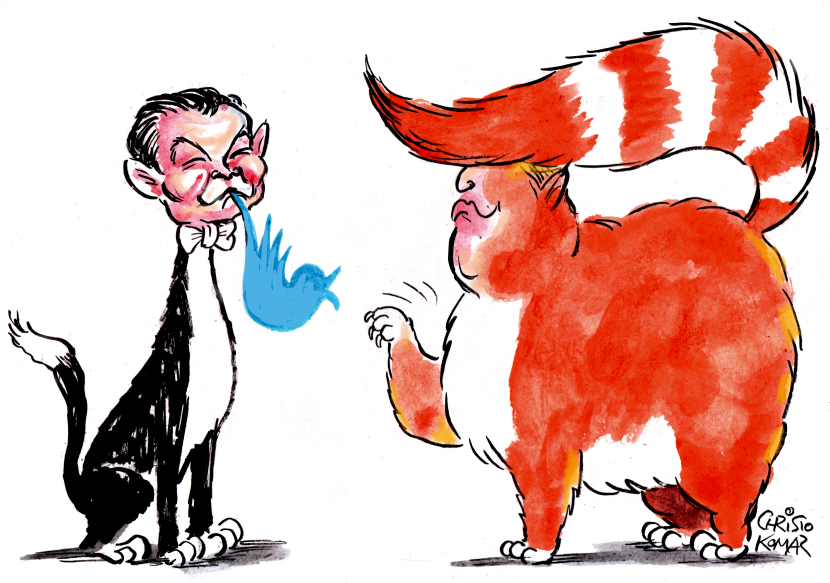 Musk and Trump