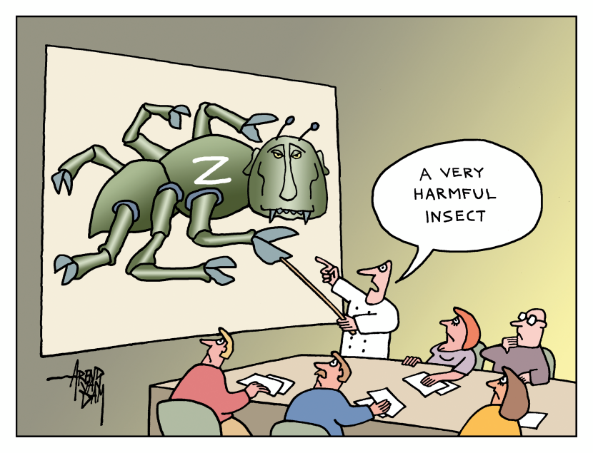 harmful insect