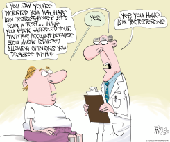 TESTOSTERONE TWITTER by Gary McCoy