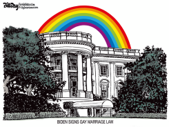 BIDEN SIGNS GAY MARRIAGE LAW by Bill Day