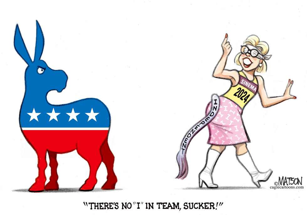 Pin the Tail on the Senator Sinema