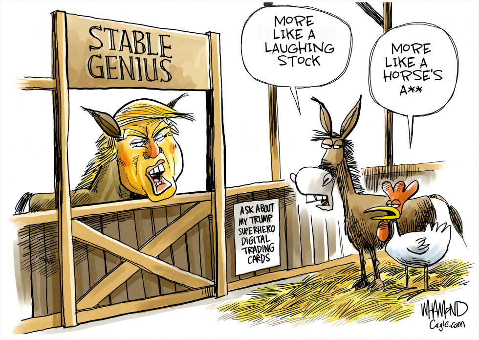 The Stable Genius