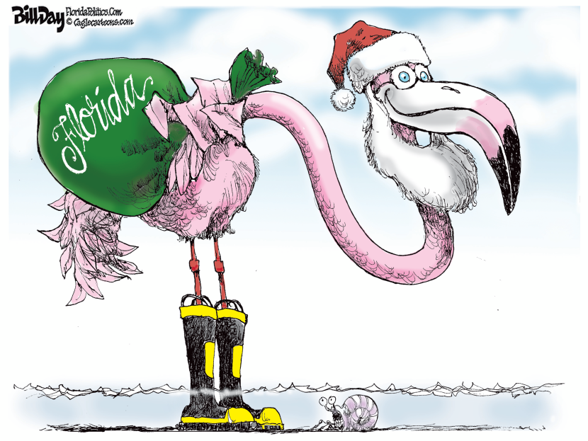 Florida Christmas Bird