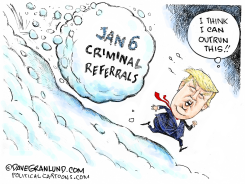 TRUMP CRIMINAL REFERRAL by Dave Granlund