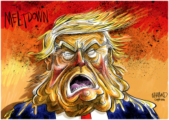 TRUMP MELTDOWN by Dave Whamond