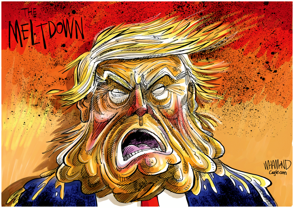 Trump Meltdown