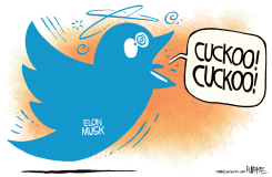 MUSK GOES CUCKOO by Rick McKee