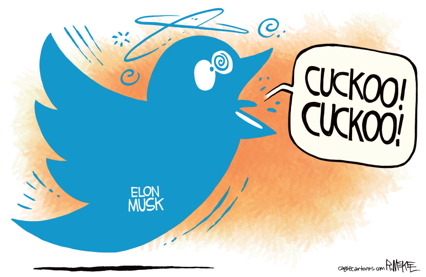 Musk Goes Cuckoo