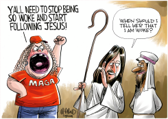 THE DEFINITION OF WOKE by Dave Whamond