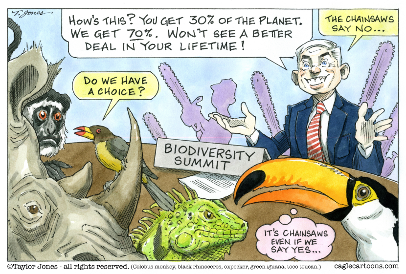 Biodiversity - the other point of view