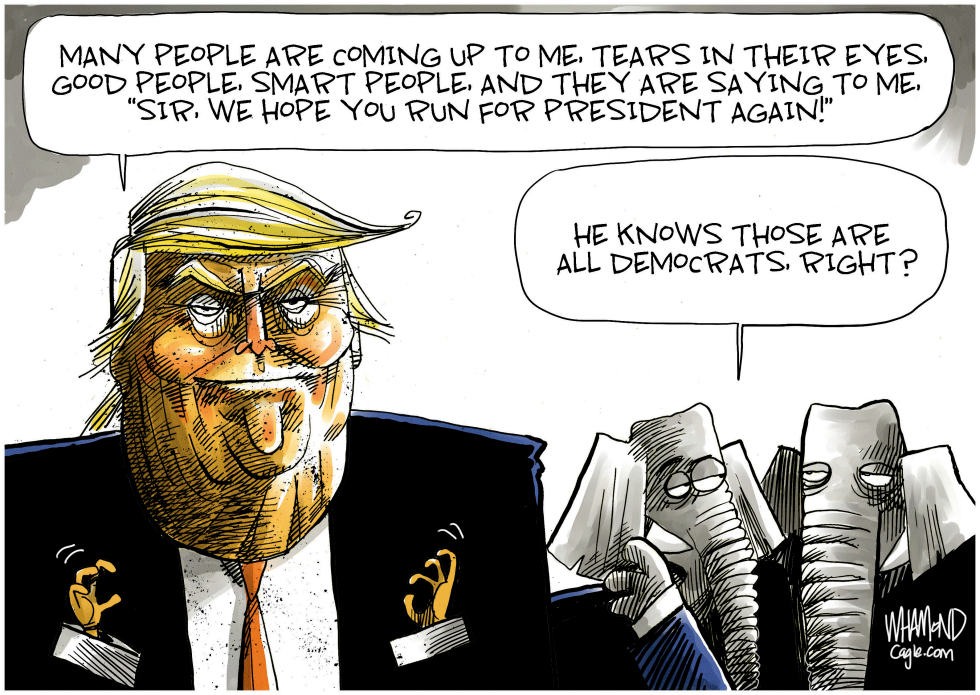 Trump Endorsement