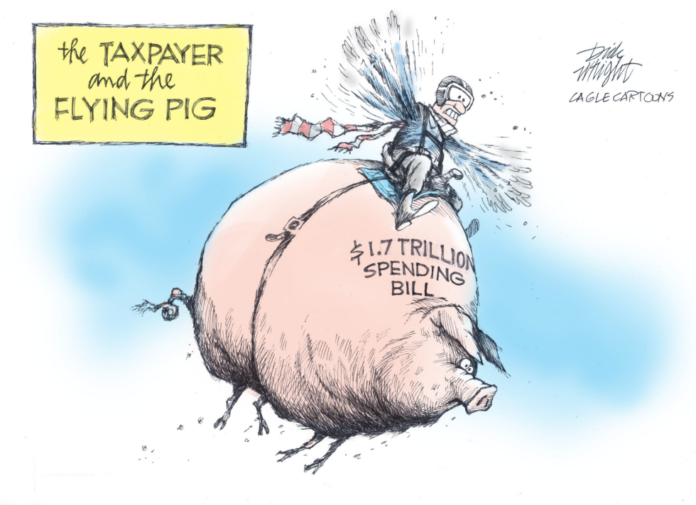 Taxpayers and the Flying Pig