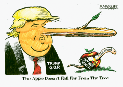 NY REP. SANTOS FAKE RESUME by Jimmy Margulies