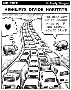 HIGHWAYS DIVIDE HABITATS by Andy Singer