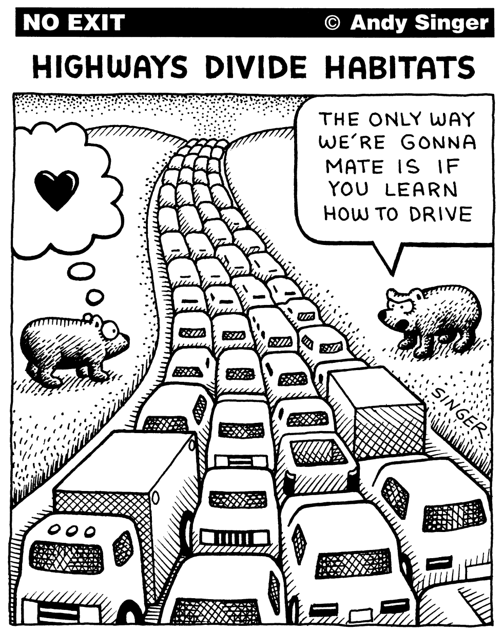 Highways Divide Habitats