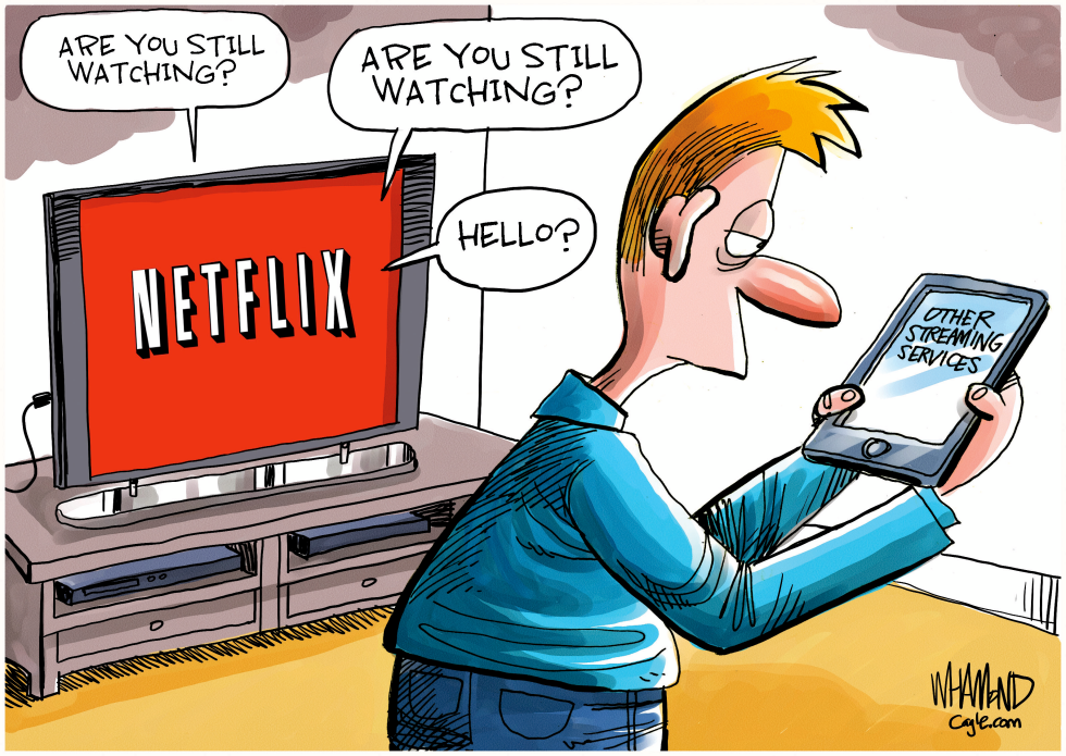 Netflix streaming loss