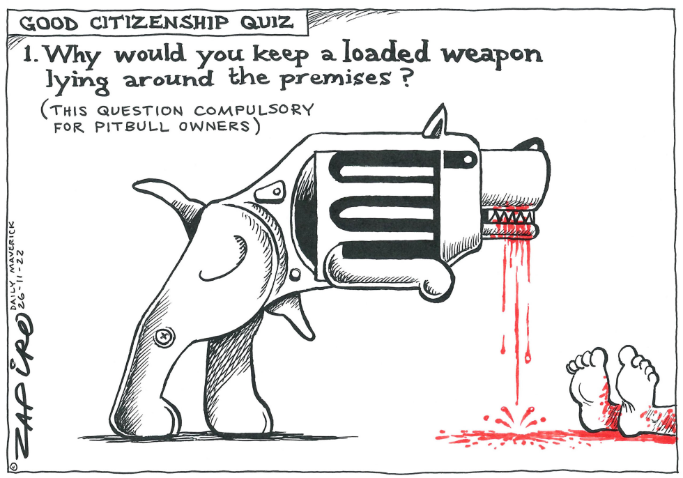 Good Citizenship Quiz