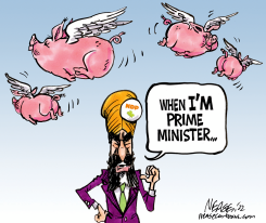 PM SINGH by Steve Nease