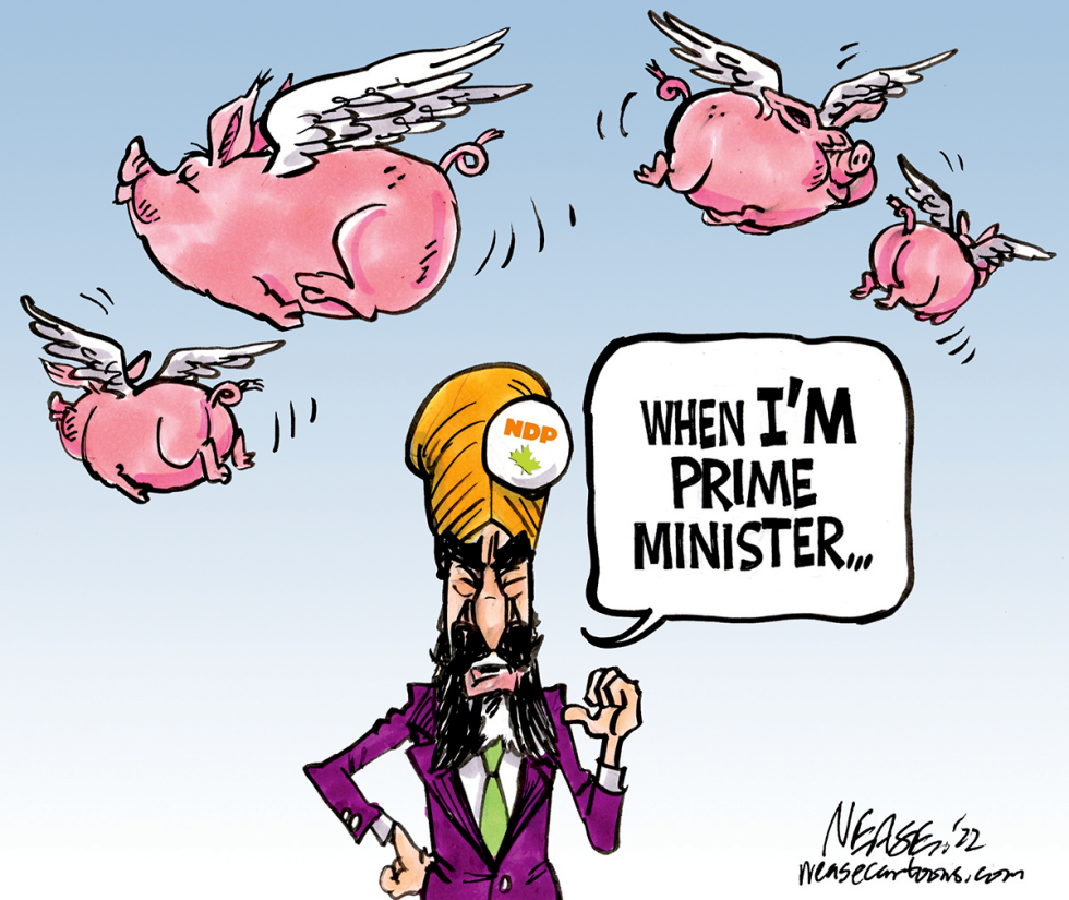 PM Singh