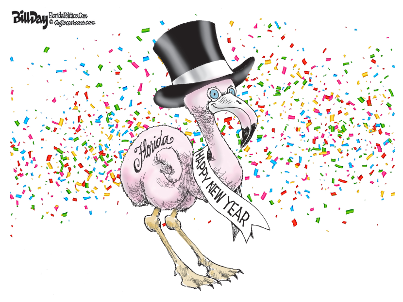 New Year's Florida Flamingo