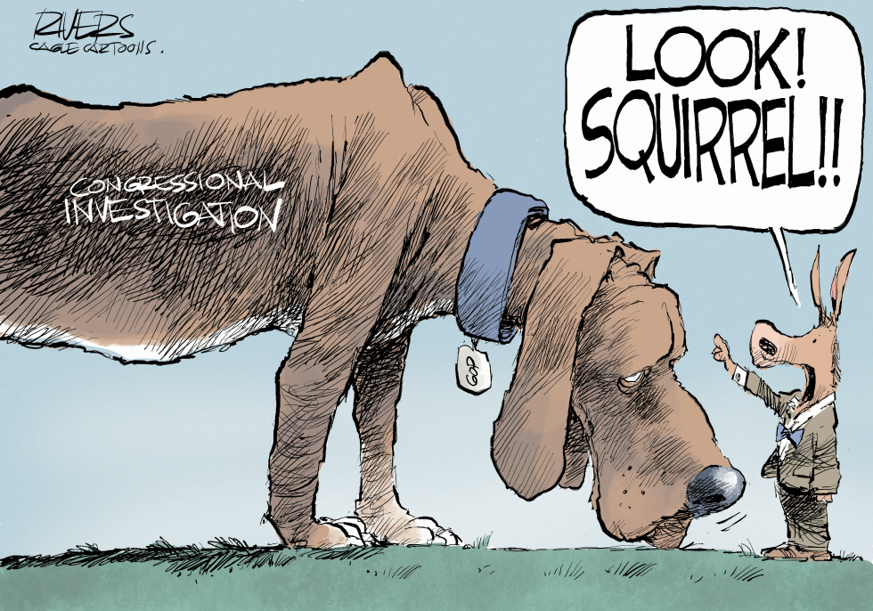 Look Squirrel!