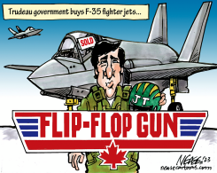 F35S by Steve Nease