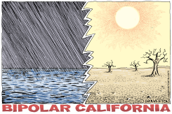 BIPOLAR CALIFORNIA by Monte Wolverton