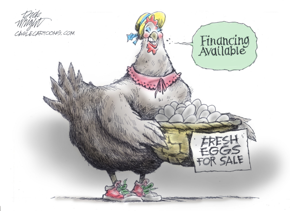 Egg Prices