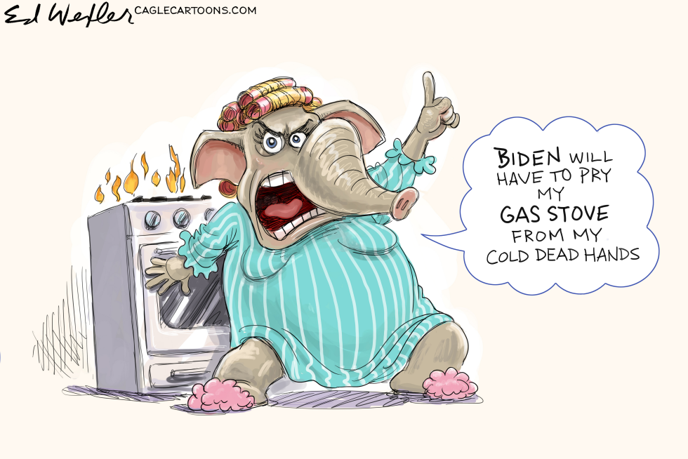 Gas Stove From My Cold Dead Hands