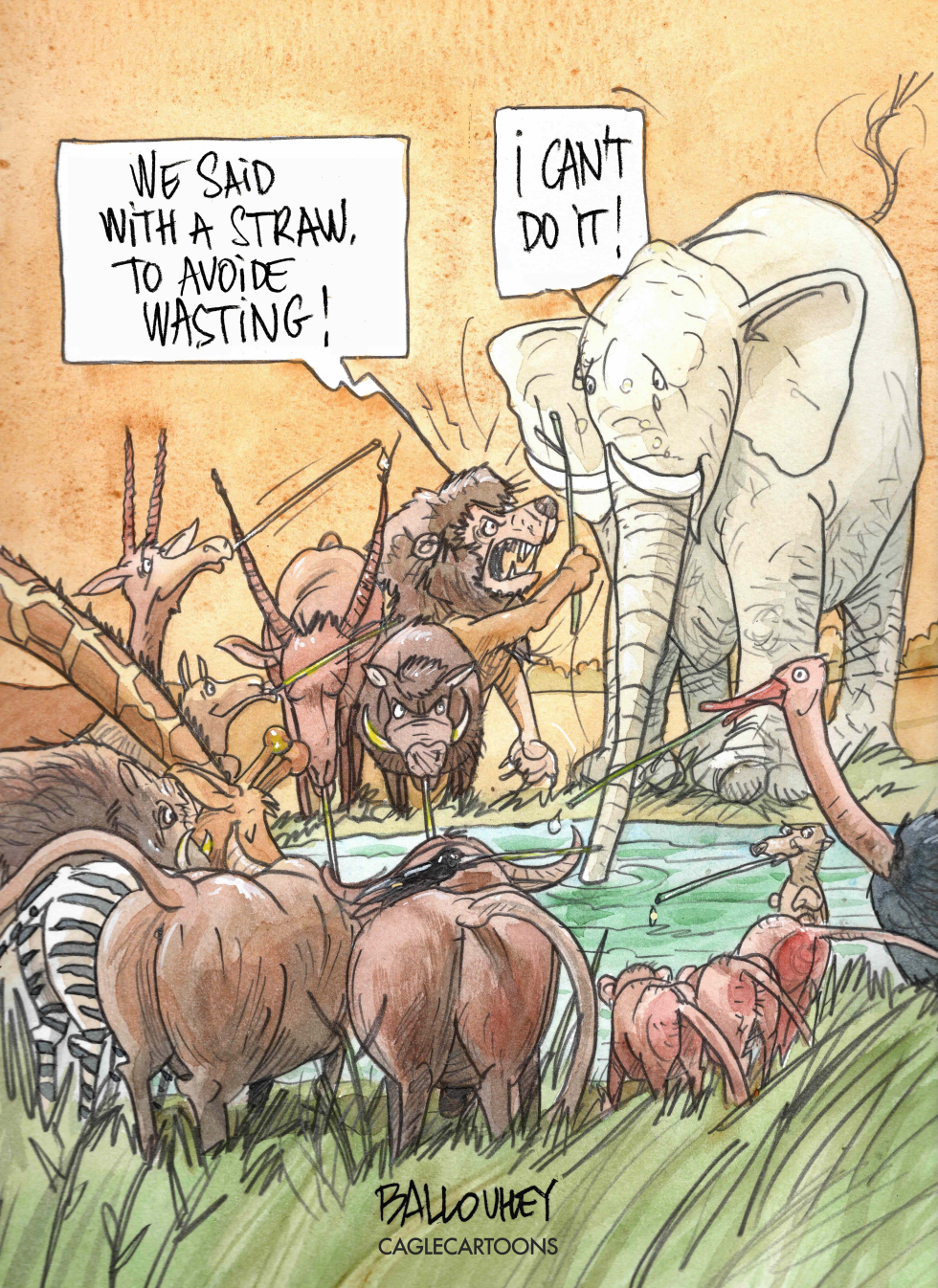 Drought wild animals