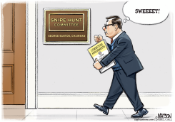 REP GEORGE SANTOS COMMITTEE ASSIGNMENT by R.J. Matson