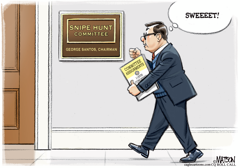 Rep George Santos Committee Assignment