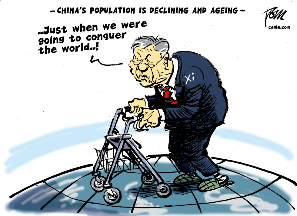 Chinese population in decline