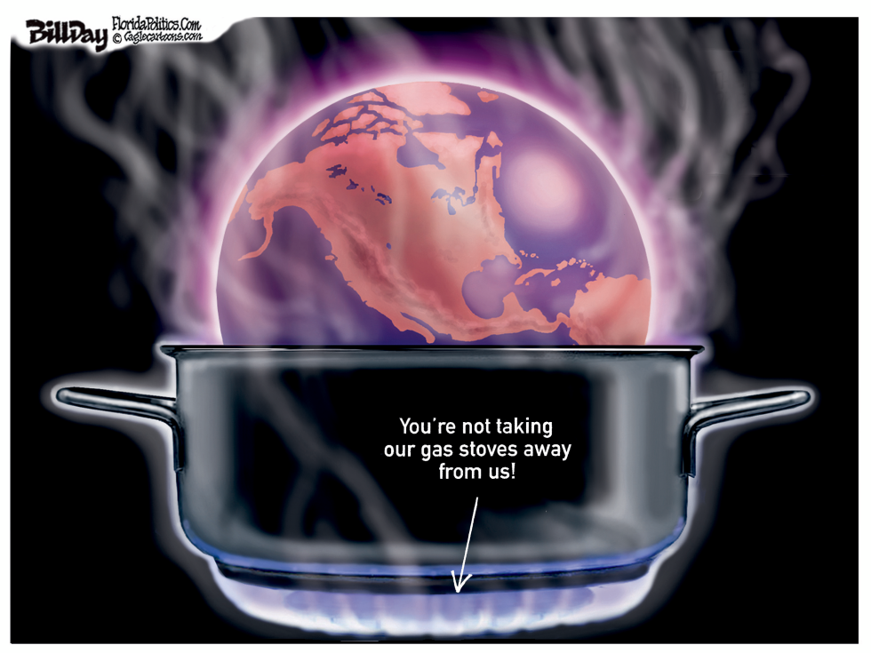 Gas Stoves